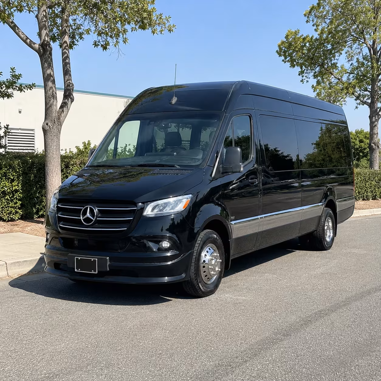 san ramon sprinter limo rental