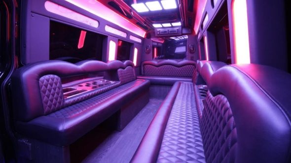 san ramon sprinter limo rental rental