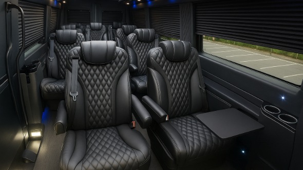 san ramon sprinter van with driver rental